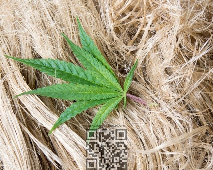 hemp-fiber.jpeg