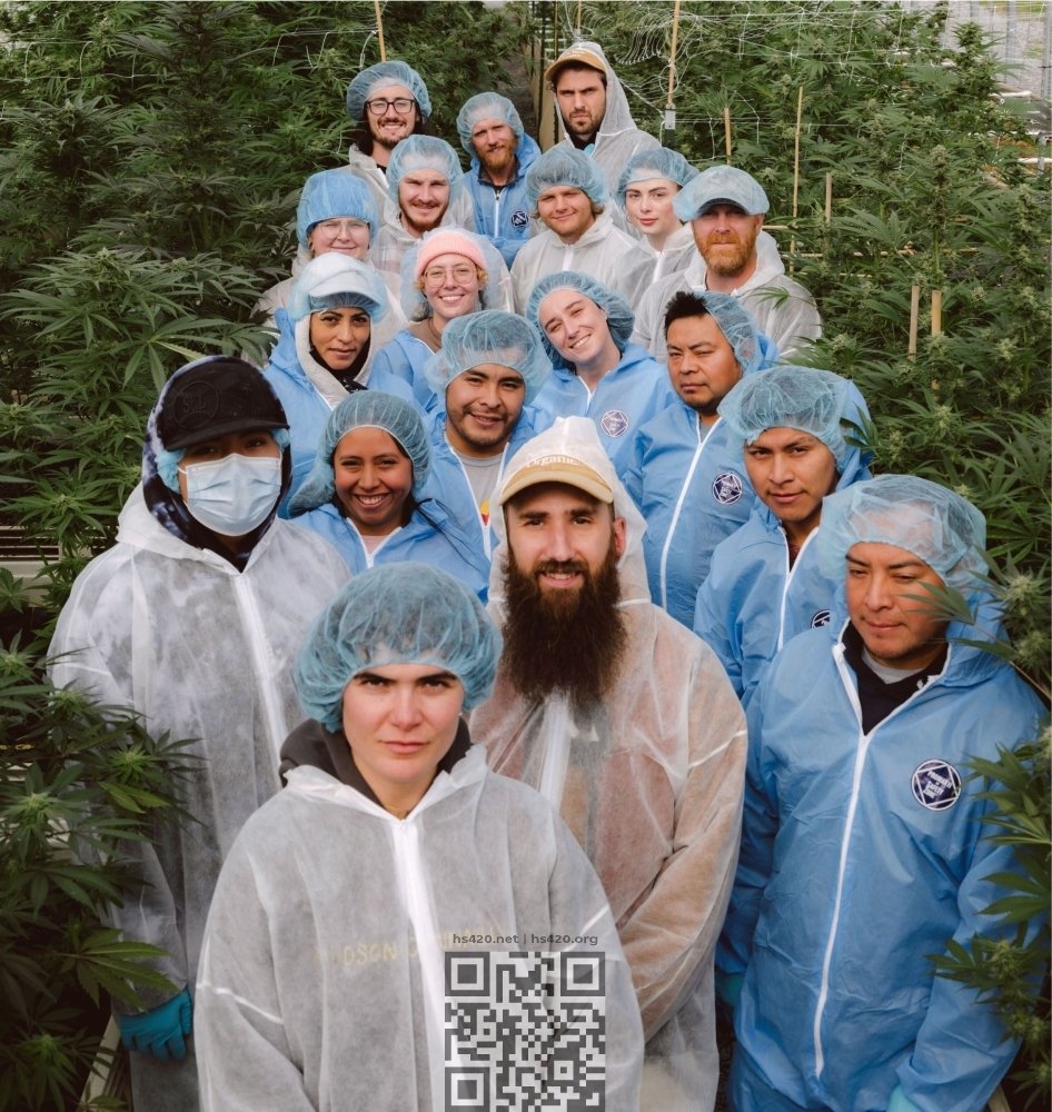 hudson-cannabis-farm.jpg