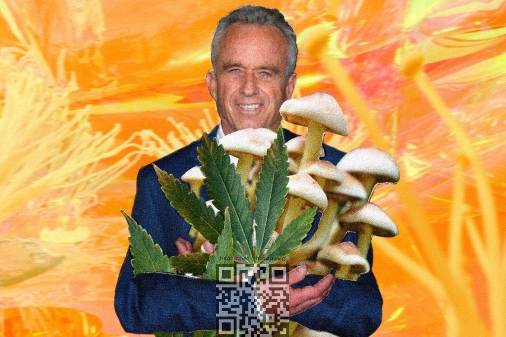 kennedy-with-cannabis-mushrooms.jpg