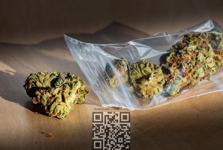 marijuana.jpg