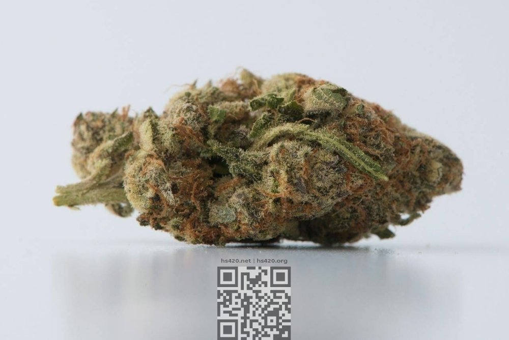 marijuana.jpg