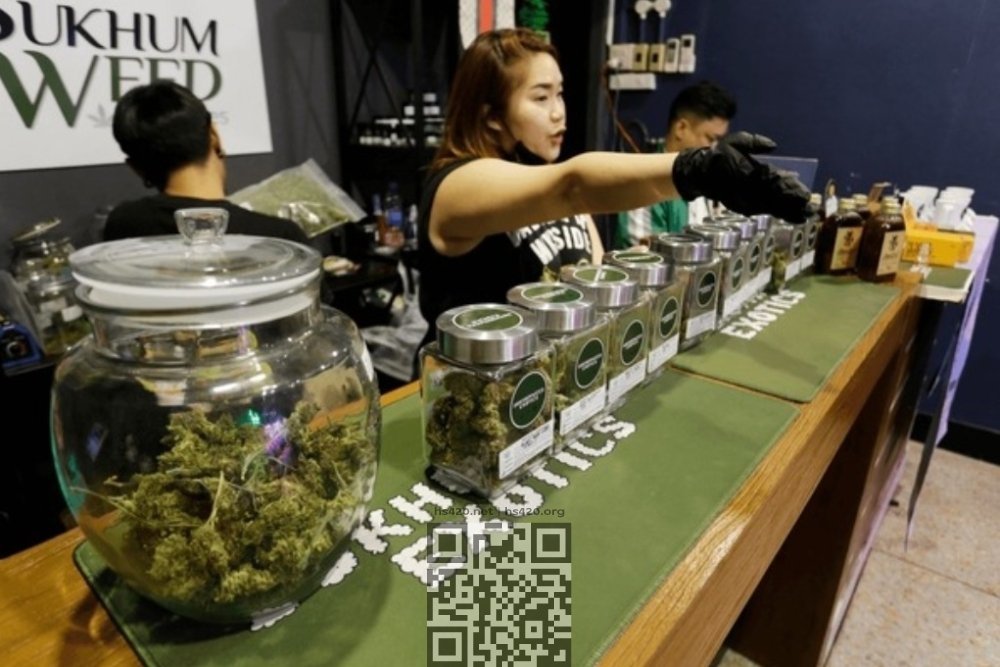 thailand-cannabis-dispensary.jpg