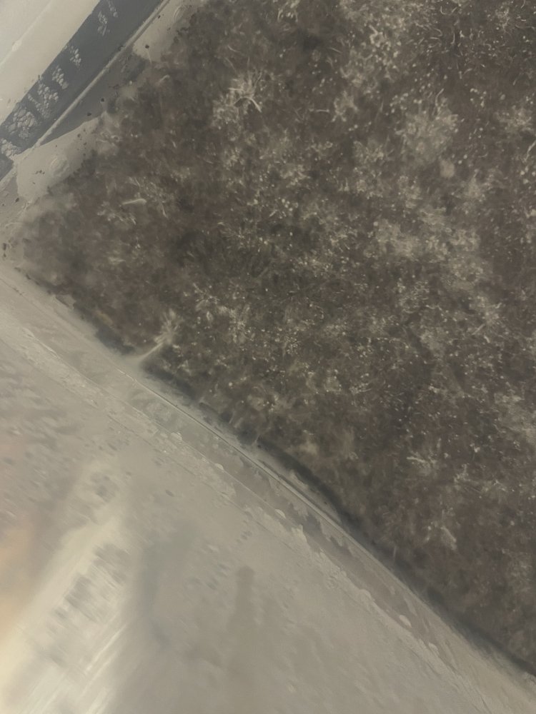 9F9CF089-E04D-4B57-A24D-8CCDED41509A.jpeg