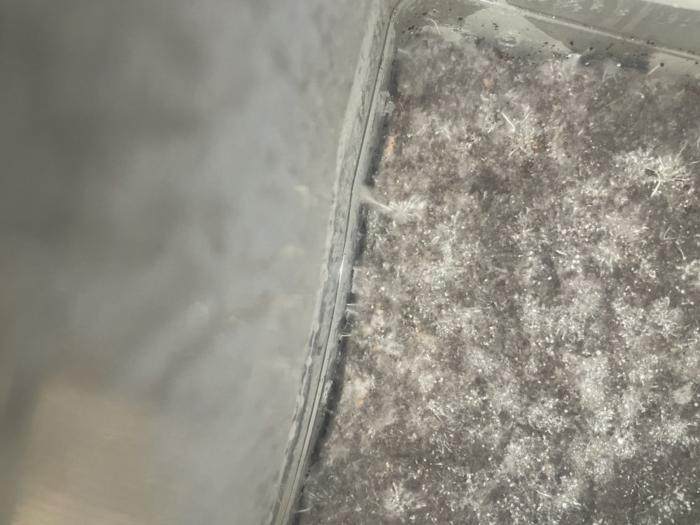 A537D056-E7D1-4348-9852-EEAD61DED64F.jpeg