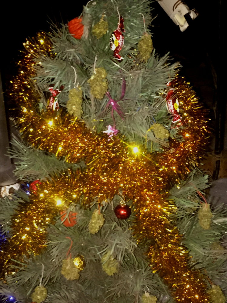 IMG_8338.JPG