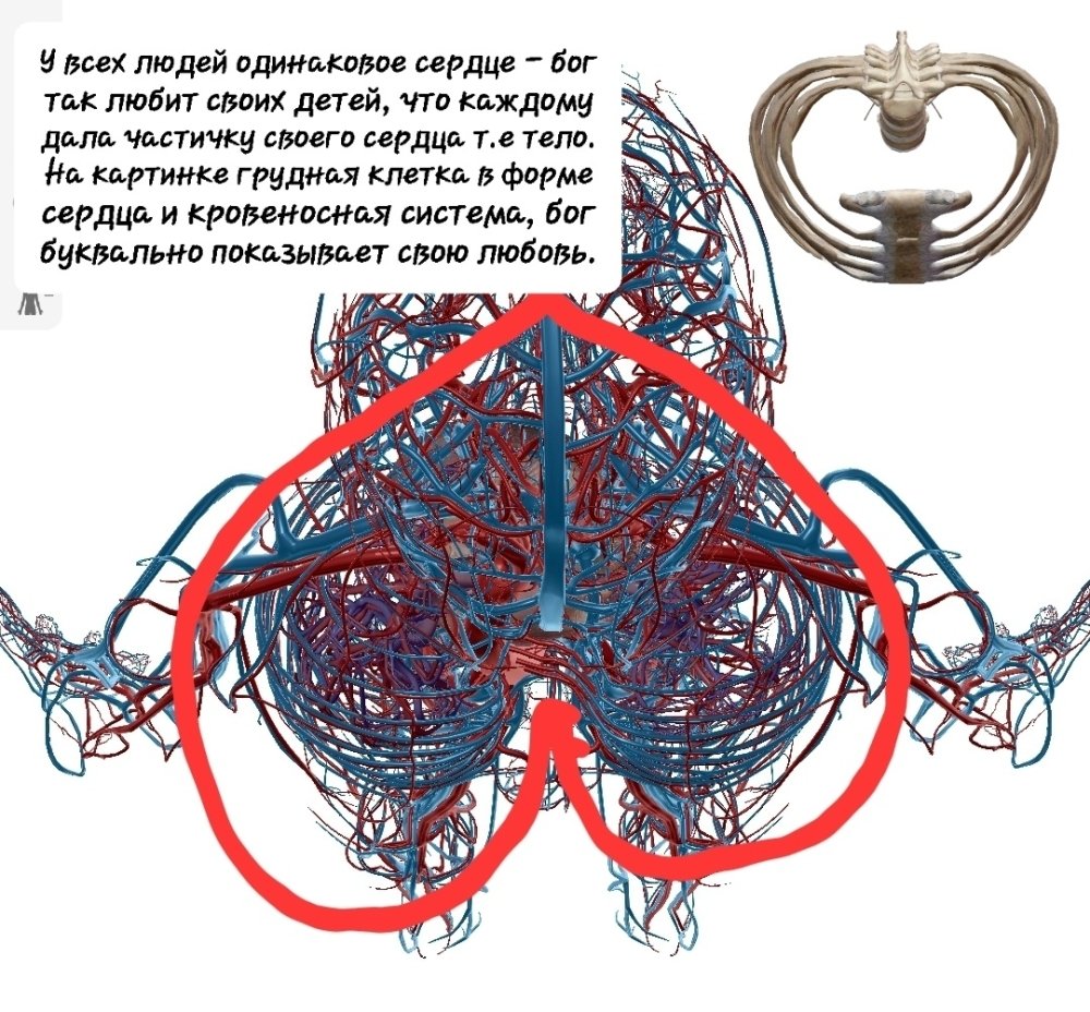 Screenshot_20241202-154125_Atlas.thumb.jpg.26cb58cb50384e777ee40da4eaa22a47.jpg