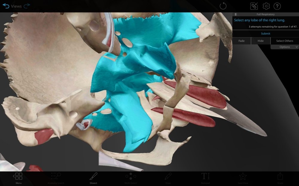 Screenshot_20241206_171810_Atlas.thumb.jpg.b1b93ad3a8bb8c244523192b7ceb8e0f.jpg