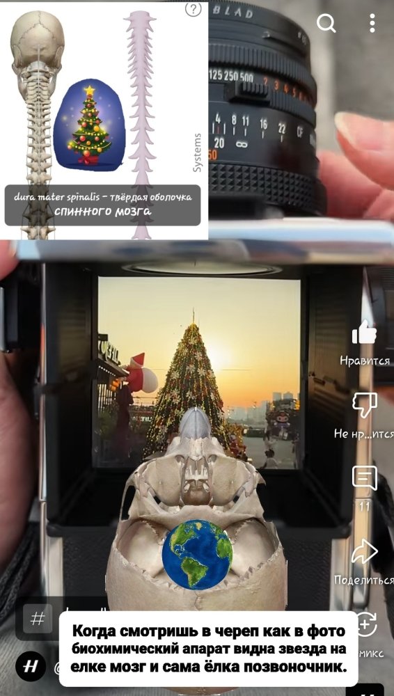 Screenshot_20241228-170723_YouTube.thumb.jpg.bf72f85d529fd7028db22e9671822328.jpg