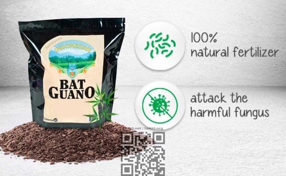 bat-guano-for-sale.jpg