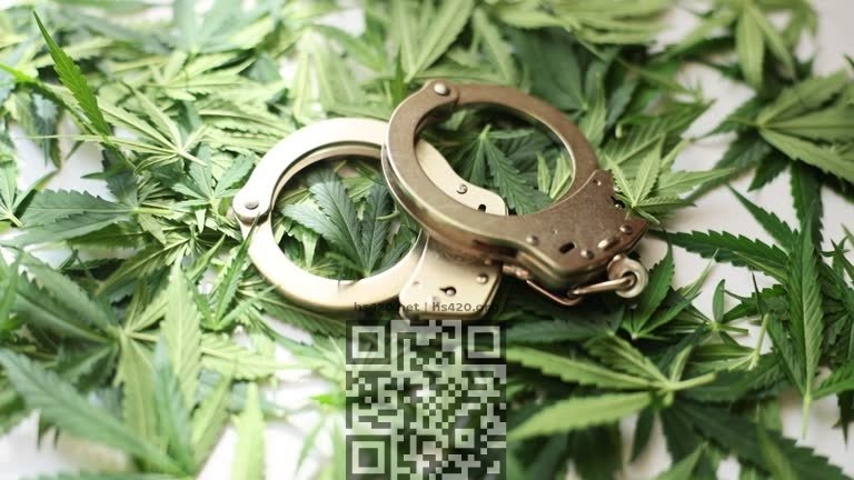 cannabis-handcuffs.jpg