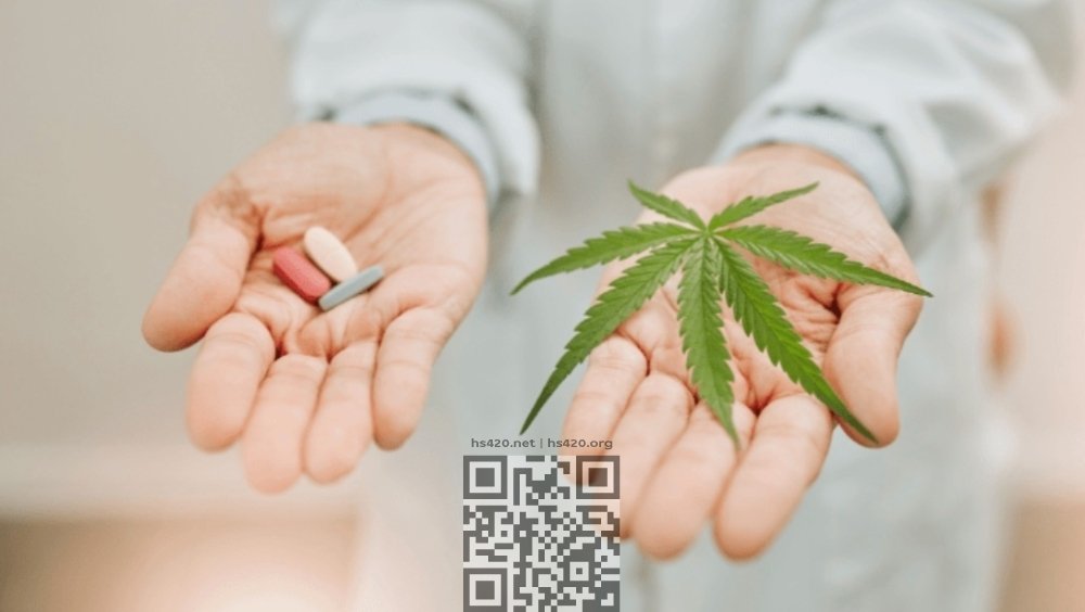 cannabis-vs-opioids.jpg