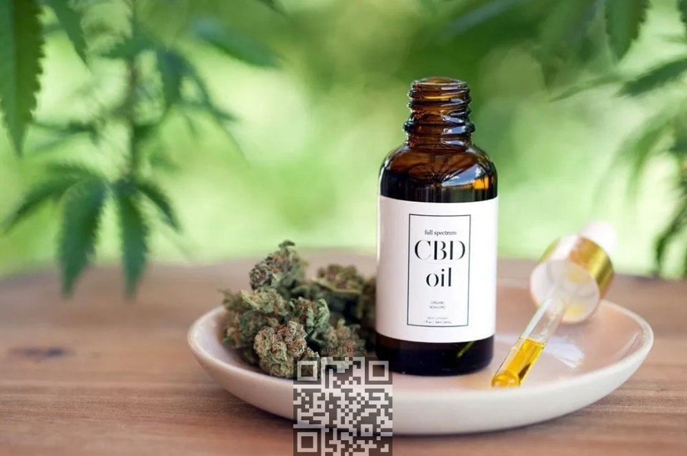 cbd-oil.jpg