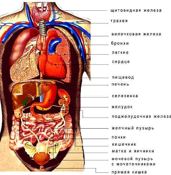 f4cbaefaa8e5dfdb3a9691121efad956.jpg.f2ab15194e5fa7dee36c81ae503e798b.jpg
