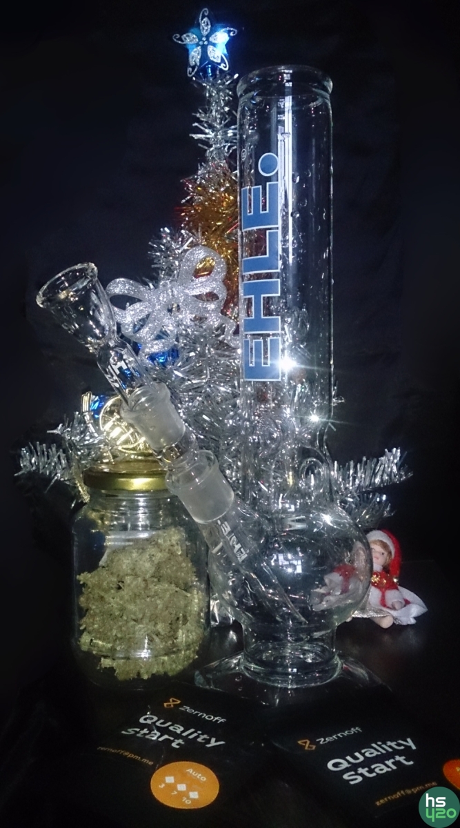 large.bong_seeds.JPG.5c1cb90ca699e253ef2