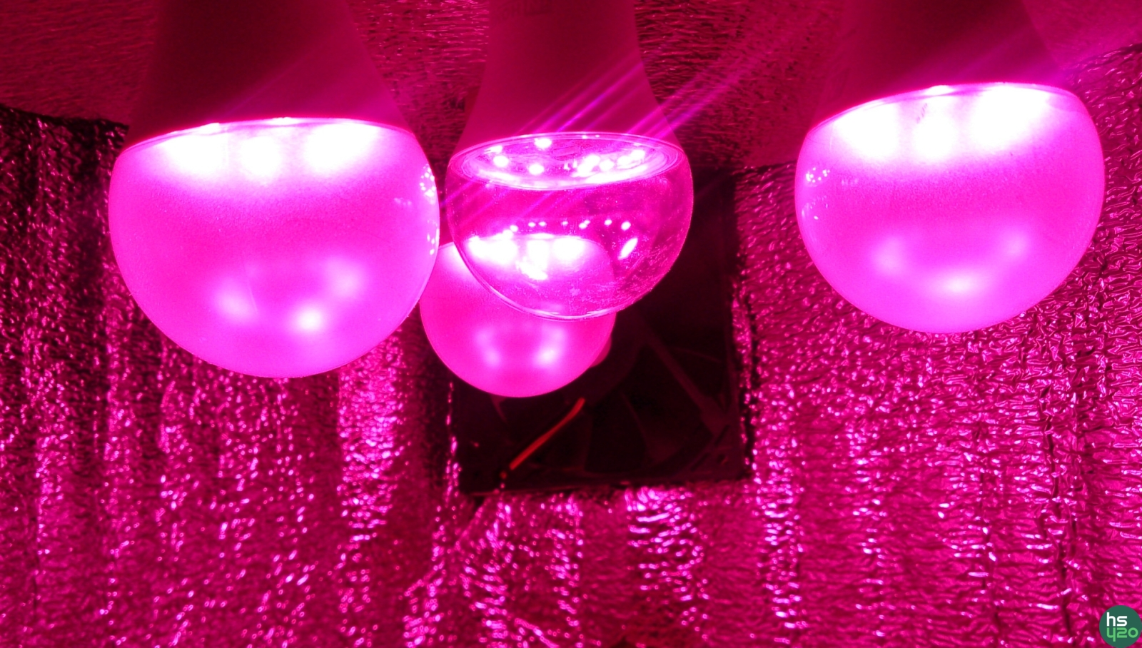 large.fito_light_led.JPG.7606e3f085ac0c7