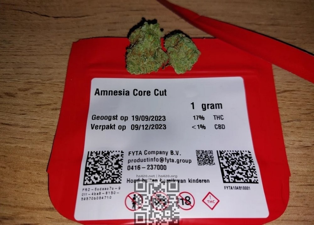 netherlands-legal-marijuana.jpg