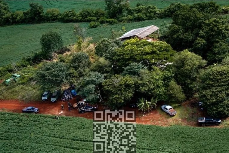 paraguay-cannabis-farm.jpg