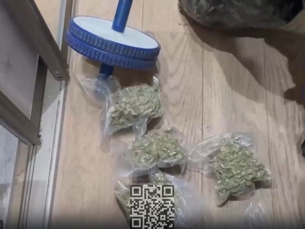 pizzeria-marijuana-seized.jpg