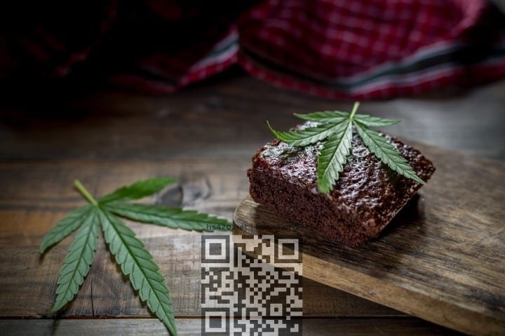 AdobeStock_197369871-Small.jpeg.6ac40534c1927880f2c94d4c575805ad.jpeg