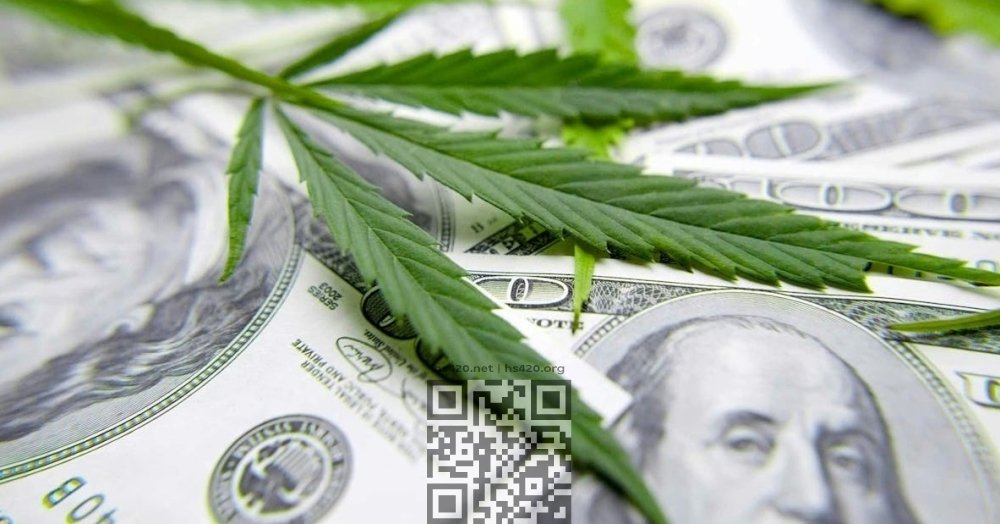 cannabis-money.jpg