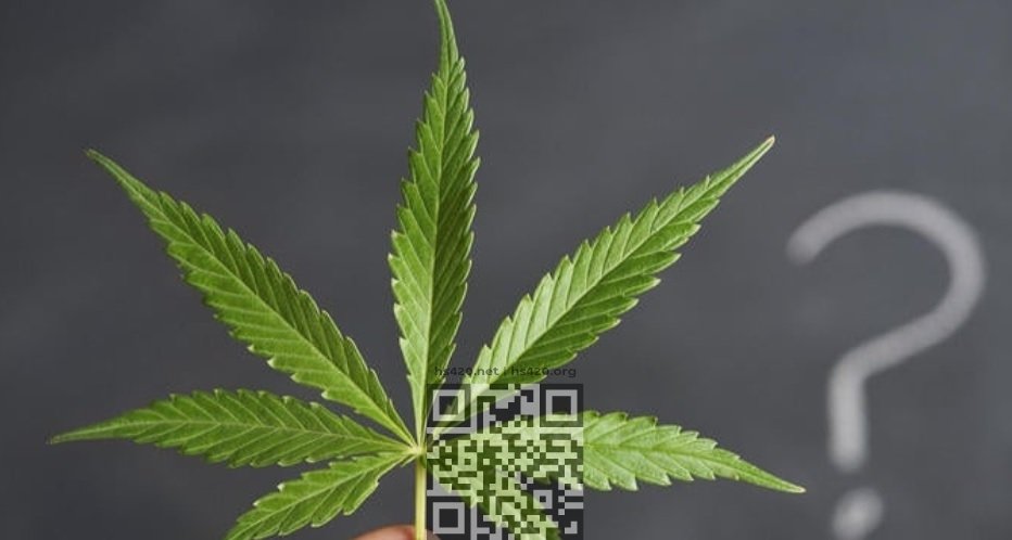 cannabis-regulation.jpg