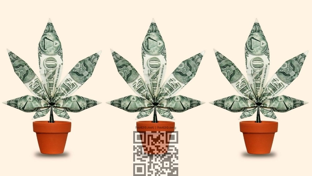 cannabis-stock.jpg