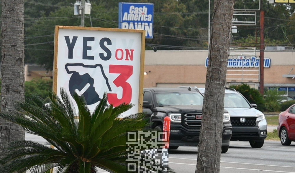 florida-cannabis-voting.JPG