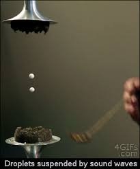 images-25.jpeg.17f27e3eb7faeb7940a7cc38db82bc66.jpeg