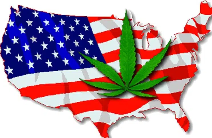 la-legalisation-de-la-marijuana-aux-usa-se-profile-a-l-horizon.jpg.webp.fa397bae1a6f1c7d2958d544d4ec44e6.webp