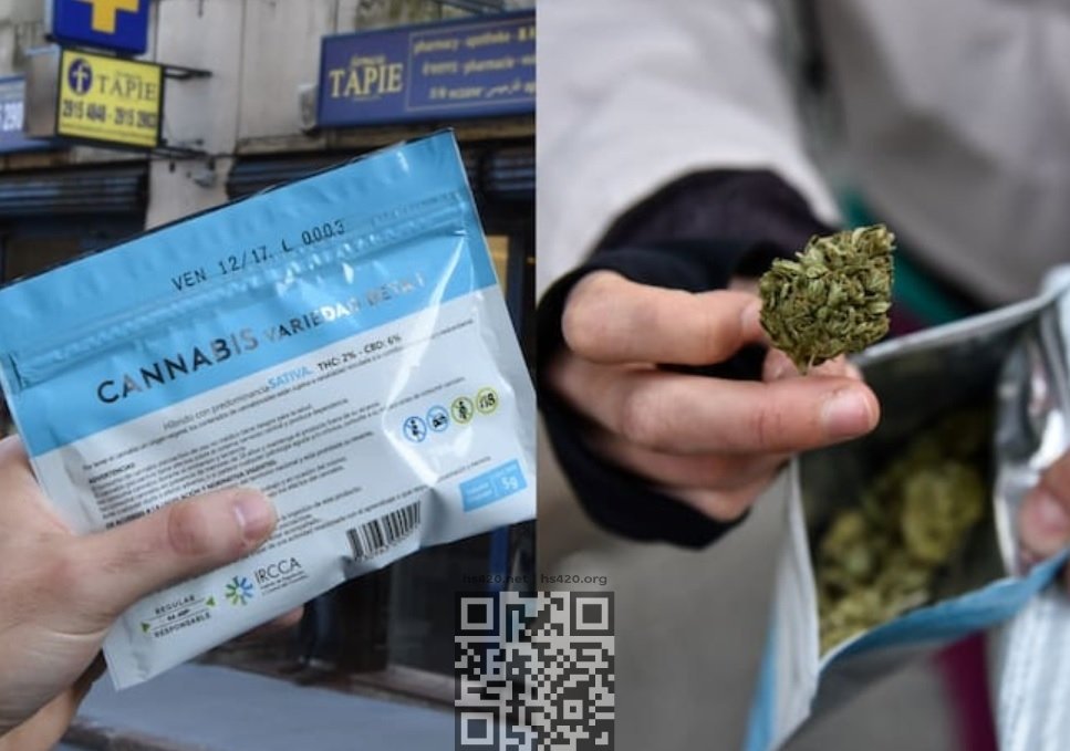 uruguay-legal-marijuana.jpg