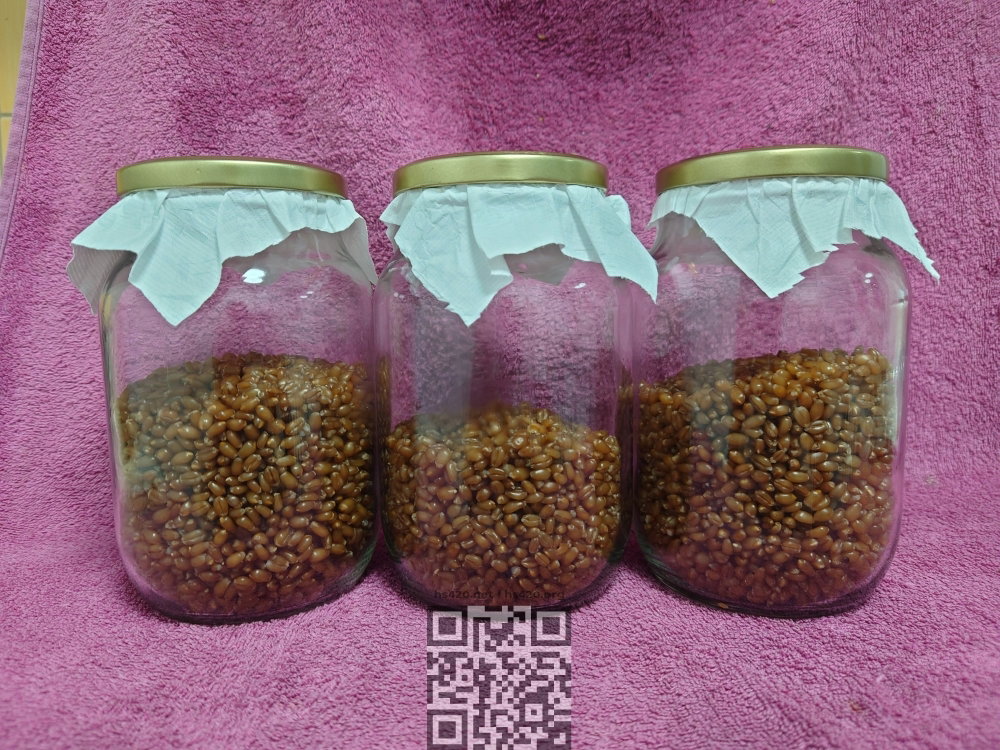 20250128_210547.thumb.JPG.10a545ff3ca174d3290634f5a071b4d1.JPG