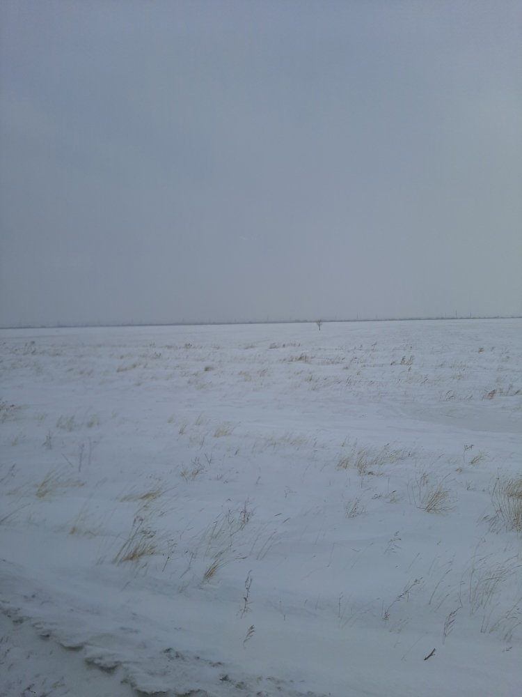 20250228_090325.thumb.jpg.01d49c7ffbf29c5f497dcca46ac5afff.jpg