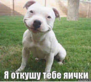 945887857_.jpg.259217512be333cbf4cb27d870a9deb9.jpg