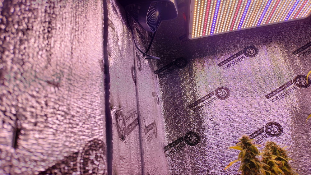 IMG20250211100544.jpg