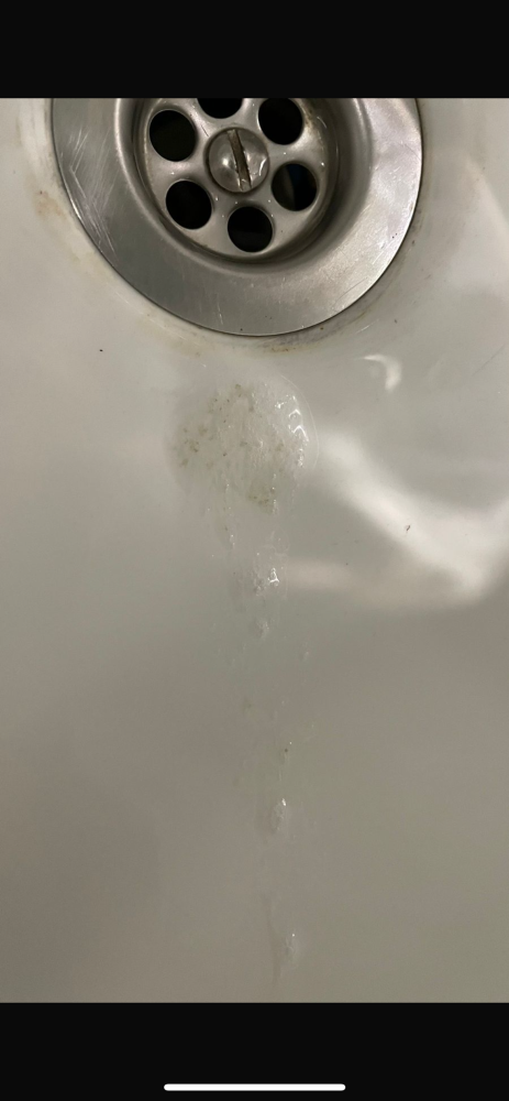IMG_0497.png