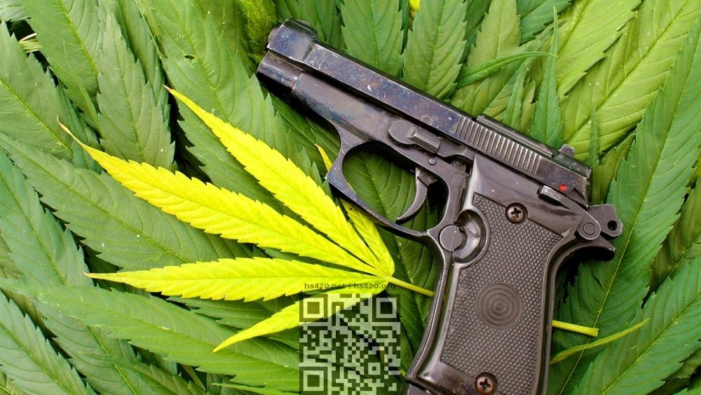 cannabis-gun.jpg