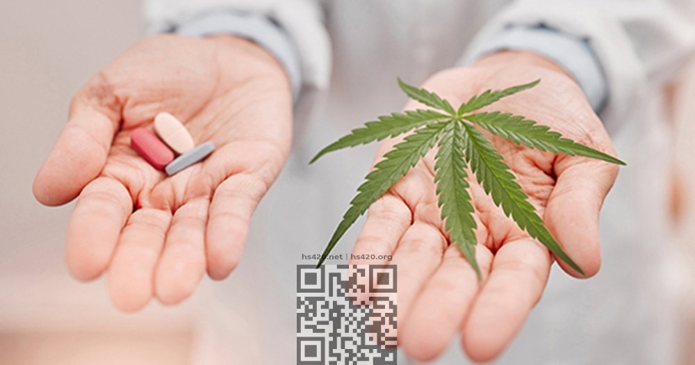 cannabis-vs-opioids.jpg