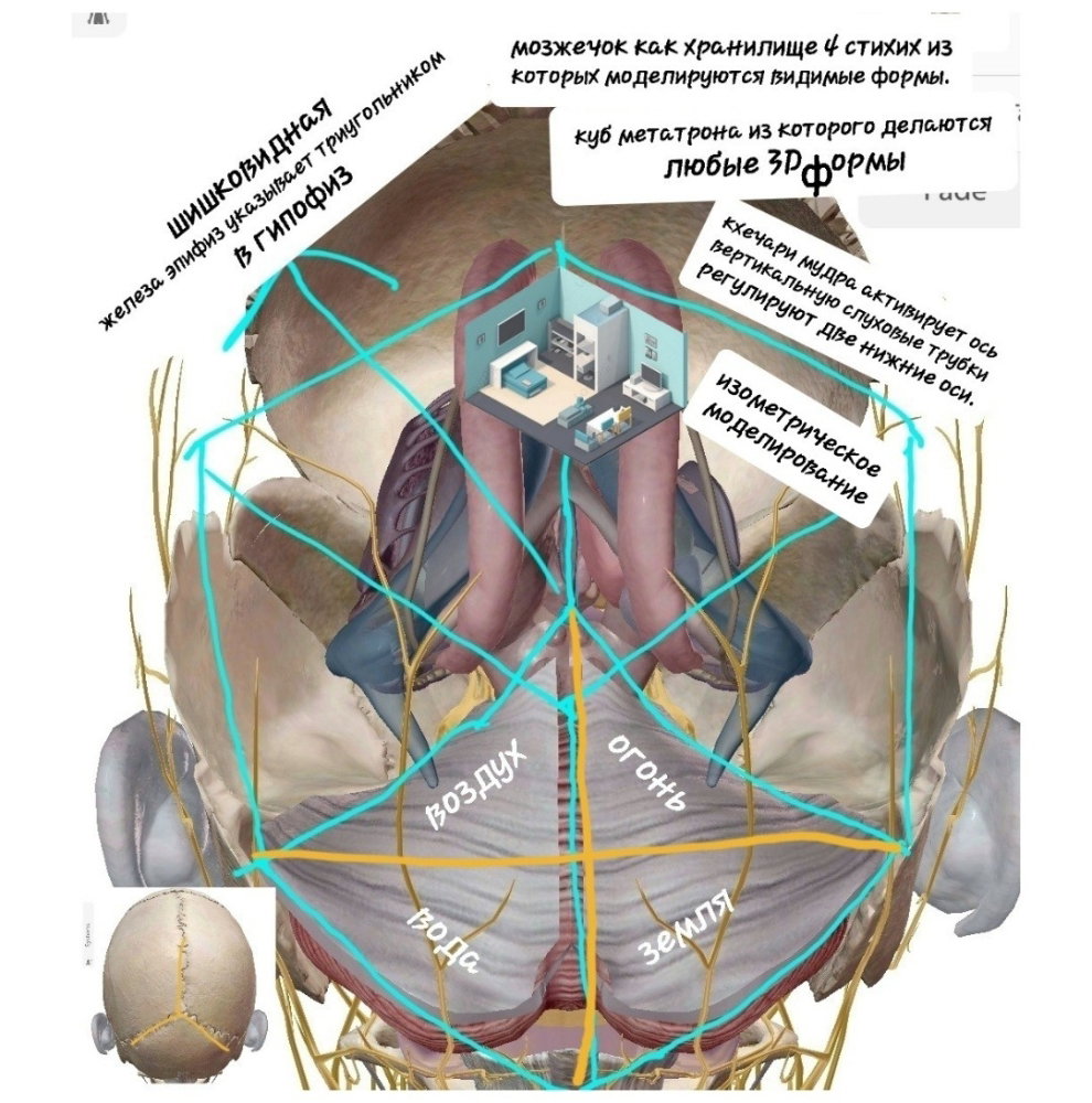 file-GahvwLYAaMH2A2HeUfp61J.thumb.webp.fcb07a553989883b6e801f98b4ffb519.webp