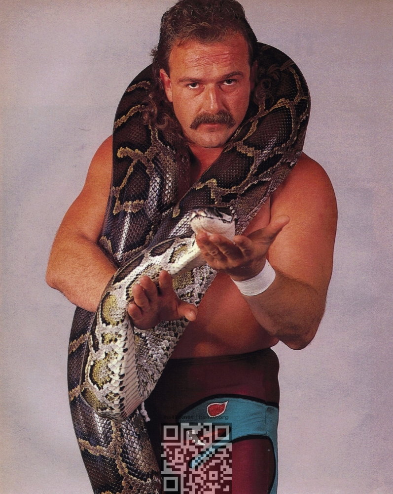 jake-roberts.jpg