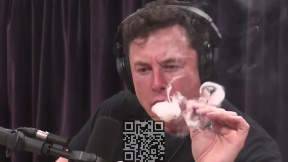 musk-smokes-marijuana.jpg