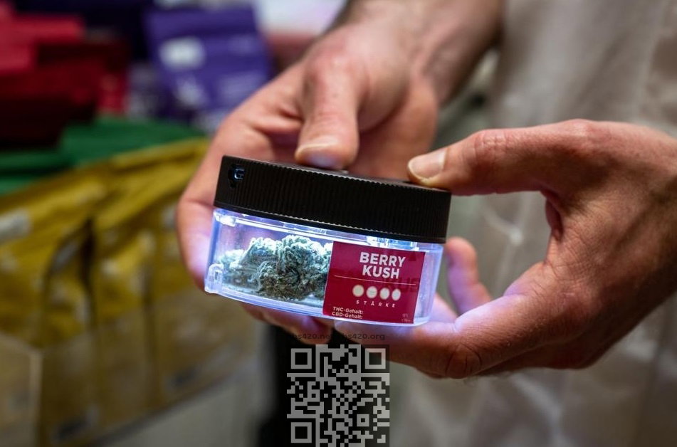 switzerland-legal-marijuana.jpg