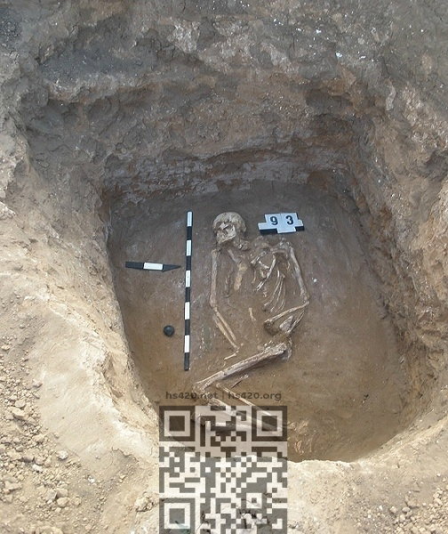yamna-burial.jpg