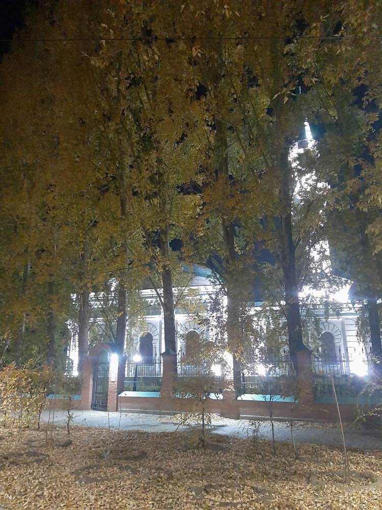 20241005_010546.thumb.jpg.c601de94cff1e9f9ad484c8931f24b88.jpg