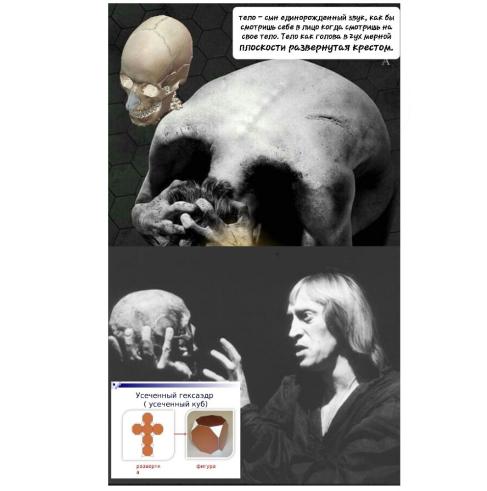 20241017_161950.thumb.jpg.64ee7f970c37037b239734fe7ae0a9fb.jpg