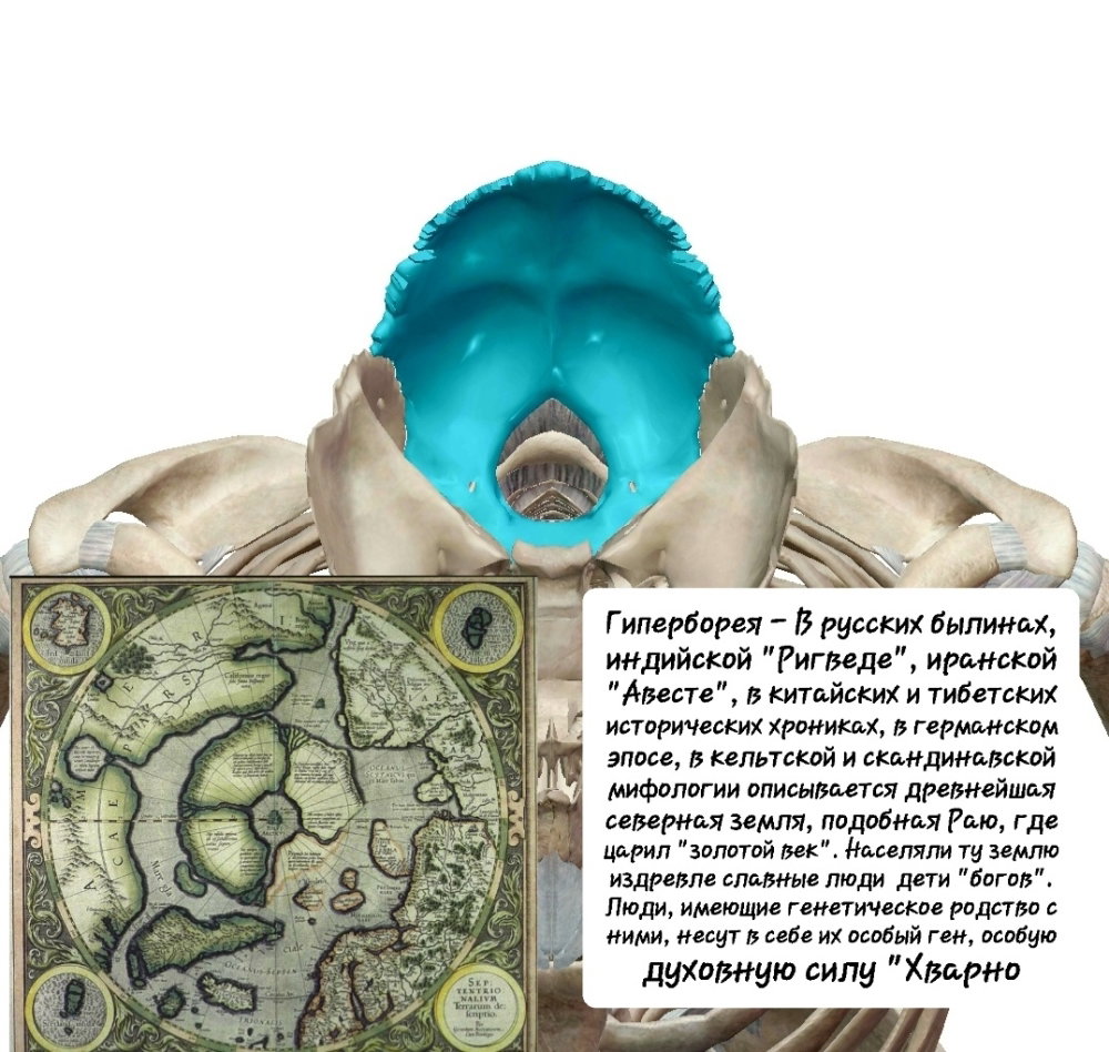 Screenshot_20241005-214810_Atlas.thumb.jpg.7cedc8979fb39cba303dbc69433c5002.jpg