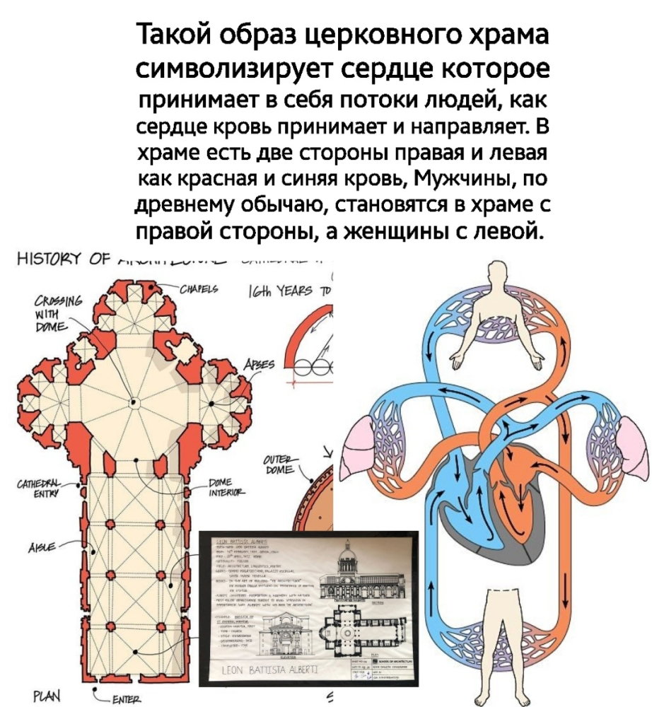 Screenshot_20250209-142726_Sketchbook.thumb.jpg.e87dd0478c5d7d1fbde3d16e665519cf.jpg