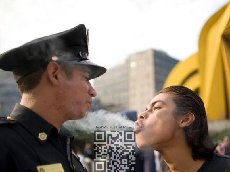 canabis-smoke-police.jpg