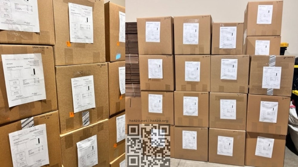 cannabis-boxes-illegally-seized.jpg
