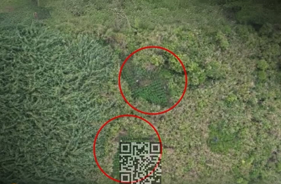 cannabis-grow-indonesia-park-drone.jpg