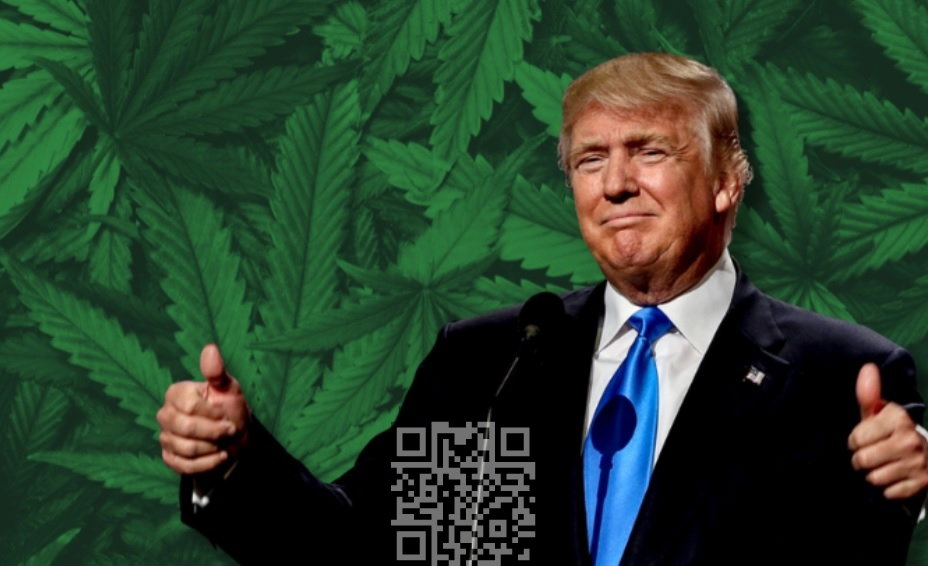donald-trump-cannabis.jpg